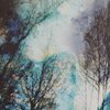 *alt_photos_gallery_image_4*